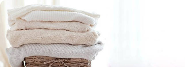 правила ухода за паном